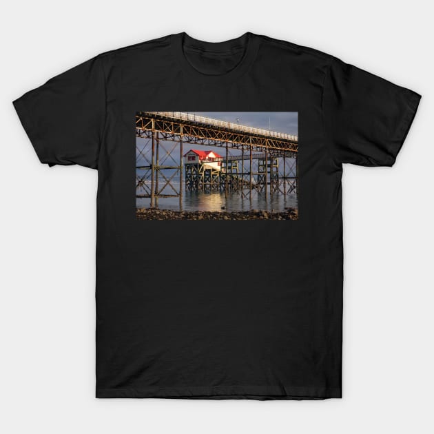 Mumbles Lifeboat Station, Mumbles Pier, Swansea T-Shirt by dasantillo